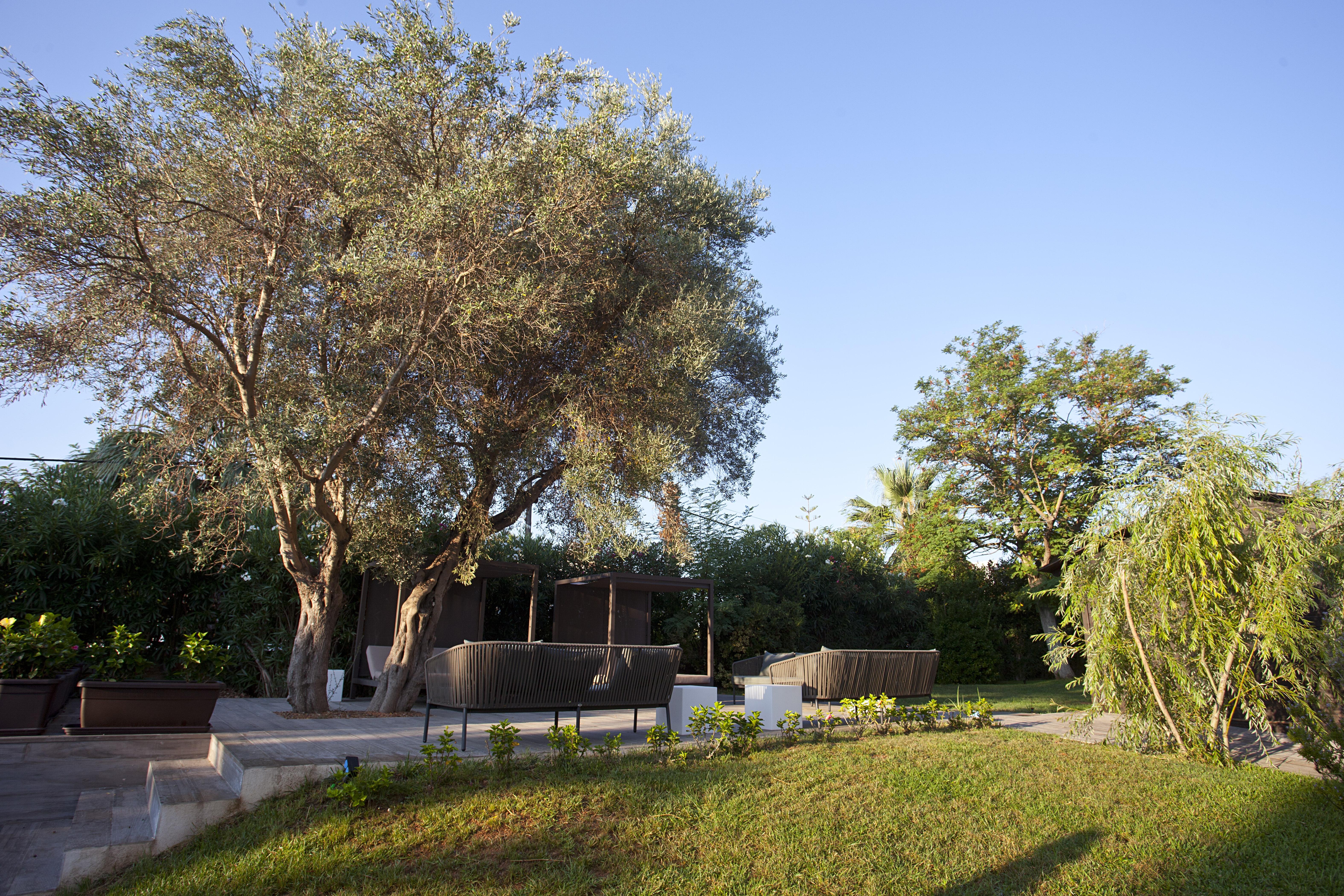 Hotel Bahia Pollensa Поланко Экстерьер фото